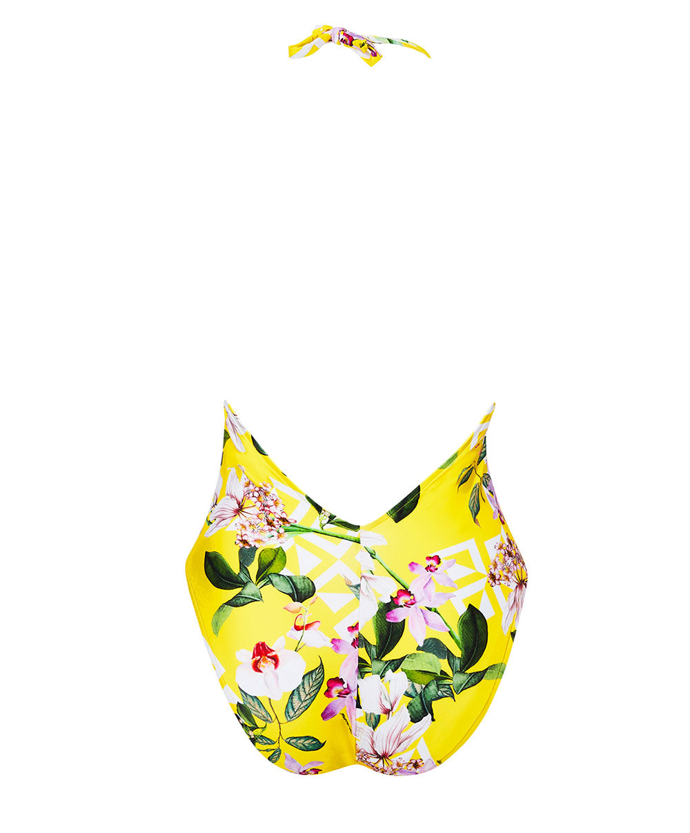 Maillot de bain une pièce séduction dos nu Lise Charmel bain Jardin Délice soleil jaune ABB9778-SD