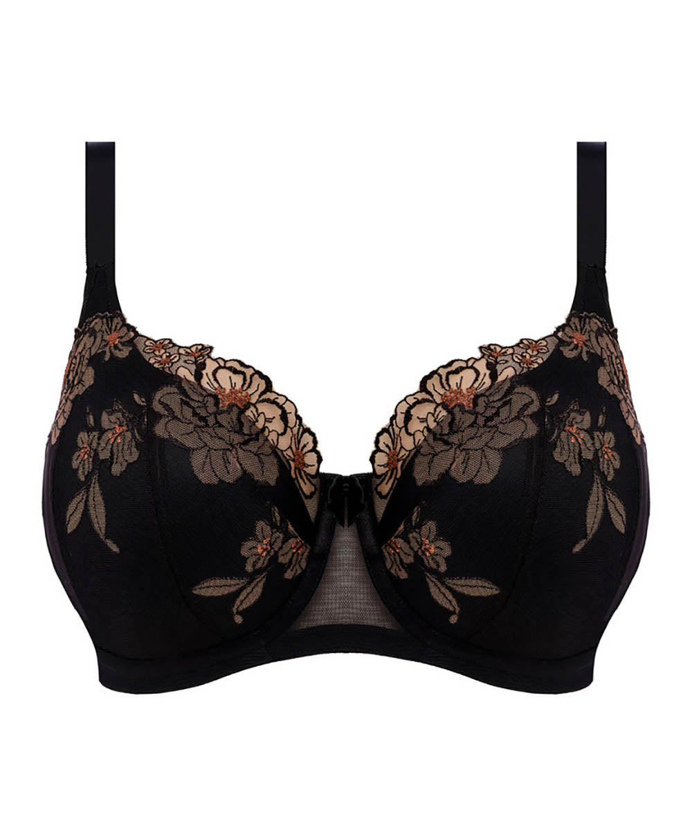 Soutien-gorge grande taille armature paddé corbeille Elomi Teagan Almond EL302615-ALM