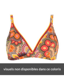 SWIMMING SUITS : Triangle swim bras with wires