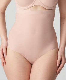 High waisted shaping briefs invisible