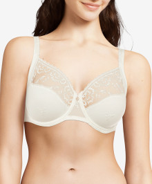 LINGERIE : Full cup bra with wires plus size