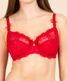 Sexy Underwear : Plus size full cup underwired bra
