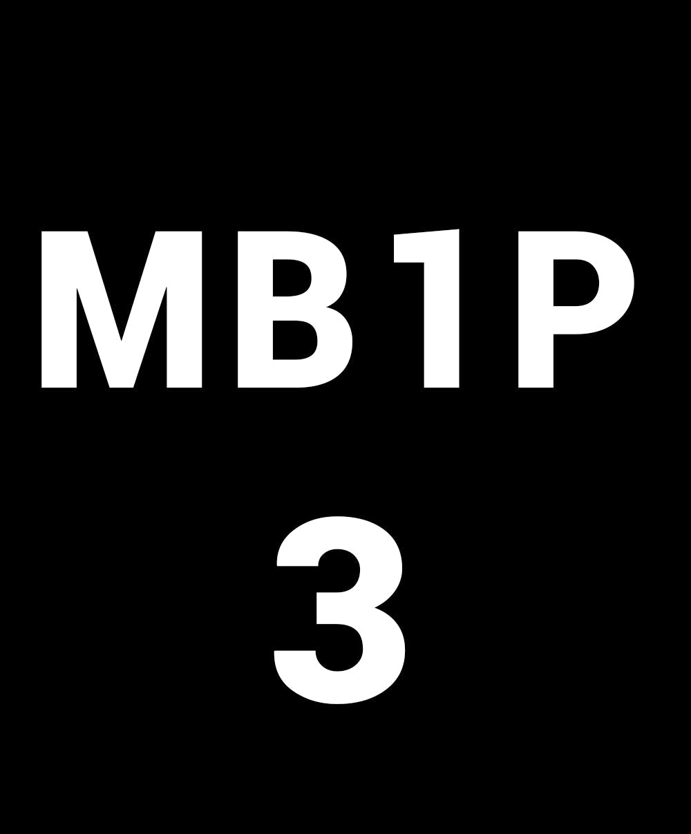 Maillot de bain 1 pièce