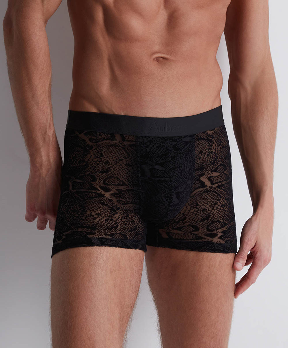 Boxer Aubade Black python 