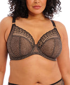 Soutien-gorge grande taille armature plongeant Elomi Matilda leopard EL8900-LED