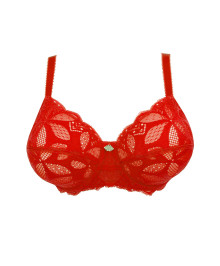 Generous Cups : Plus size full cup bra with wires