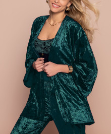 Nightgown, Robe : Velvet negligee
