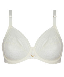 Full Coverage, Underwire : Plus size full cup bra with wires