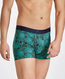 Trunks : Boxer brief Flowers