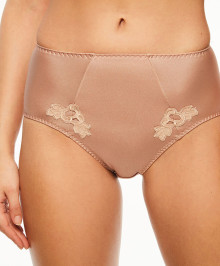 High waisted invisible briefs