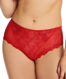 LINGERIE : Hgh waisted briefs + size